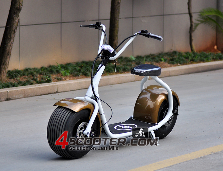 New Big Wheel 800W City CoCo Electric Scooter